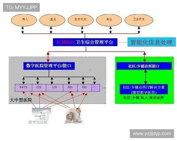 上海乒乓球队近期状态分析与表现评估的综合研究报告 上海乒乓球队近期状态分析与表现评估的综合研究报告
